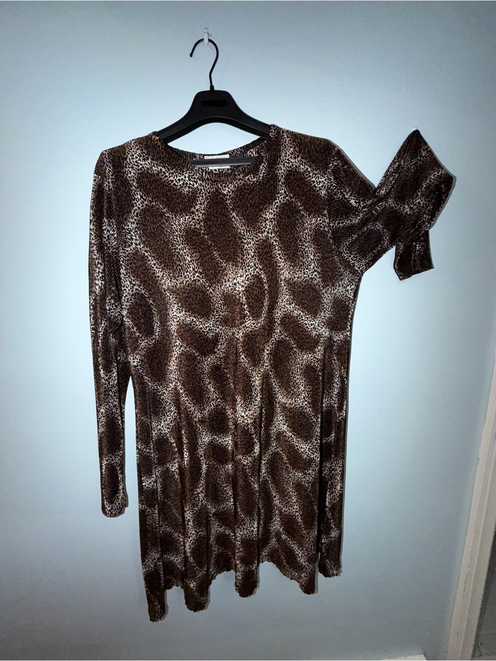 Animal Print Long Sleeve Swing Dress - Brown